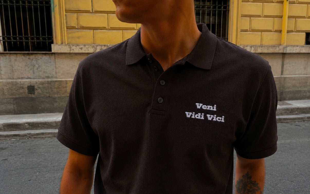 veni vidi vici