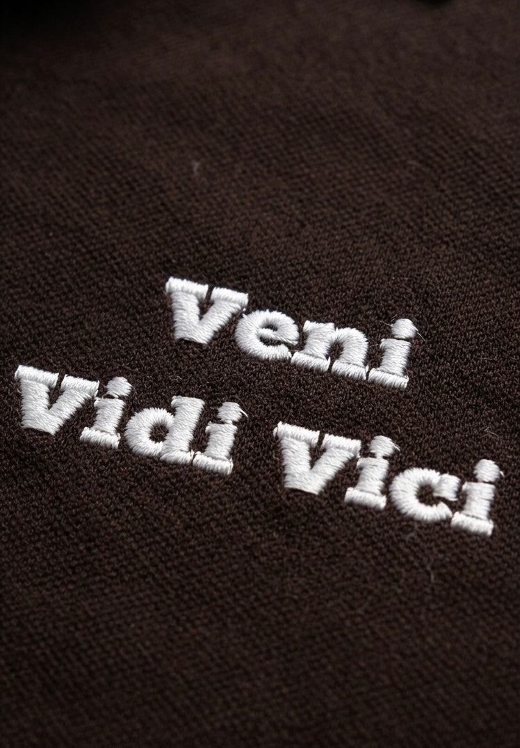 veni vidi vici